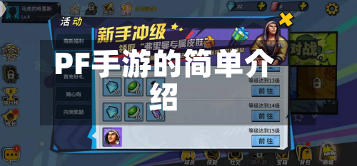 PF手游的简单介绍-第2张图片