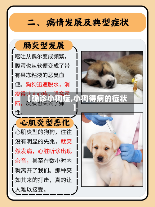 【确诊小狗症,小狗得病的症状】