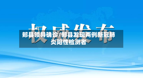 郏县领导确诊/郏县发现两例新冠肺炎阳性检测者-第2张图片