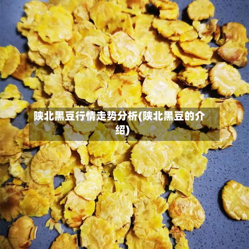 陕北黑豆行情走势分析(陕北黑豆的介绍)-第3张图片