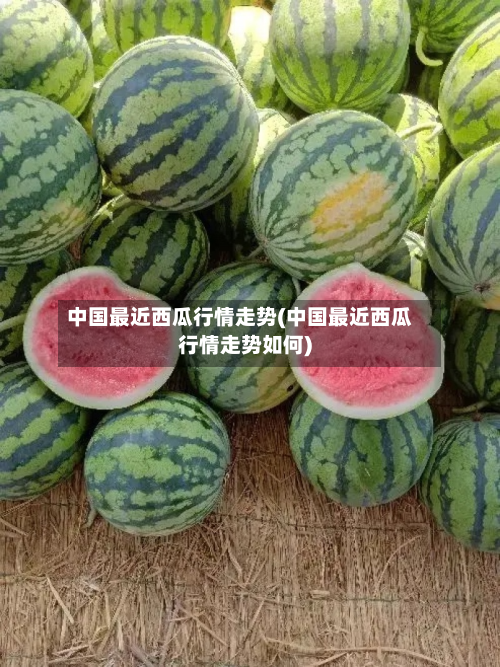 中国最近西瓜行情走势(中国最近西瓜行情走势如何)-第2张图片