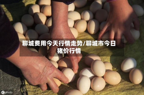 聊城费用今天行情走势/聊城市今日猪价行情