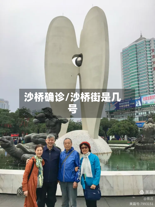 沙桥确诊/沙桥街是几号