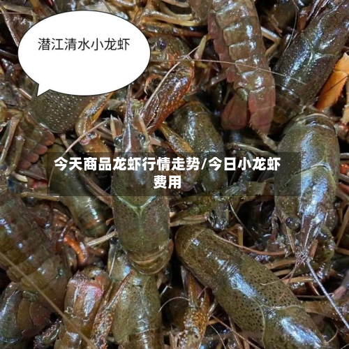 今天商品龙虾行情走势/今日小龙虾费用