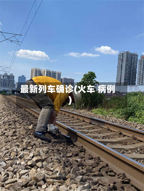 最新列车确诊(火车 病例)-第2张图片
