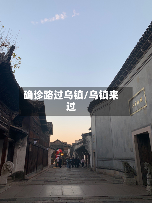 确诊路过乌镇/乌镇来过