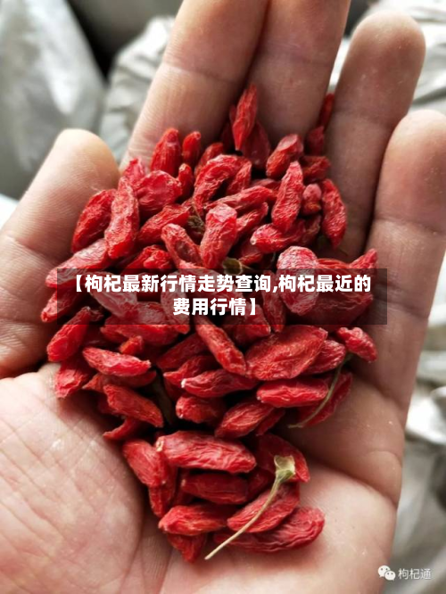 【枸杞最新行情走势查询,枸杞最近的费用行情】-第2张图片
