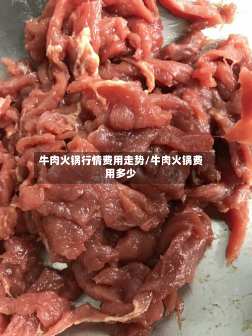 牛肉火锅行情费用走势/牛肉火锅费用多少