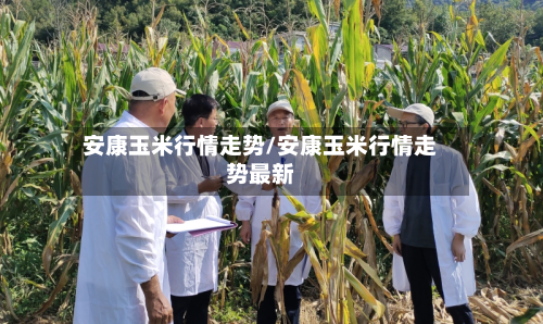 安康玉米行情走势/安康玉米行情走势最新-第2张图片