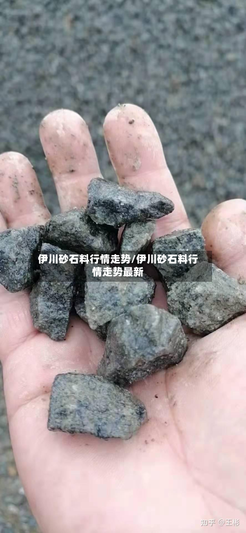 伊川砂石料行情走势/伊川砂石料行情走势最新