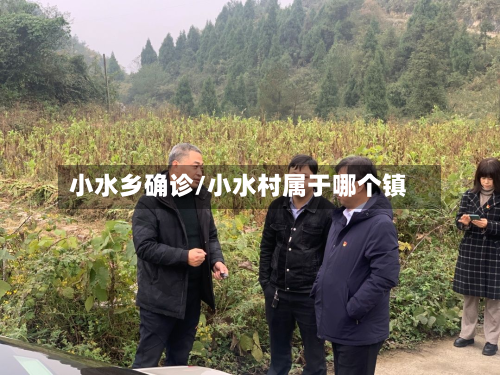 小水乡确诊/小水村属于哪个镇