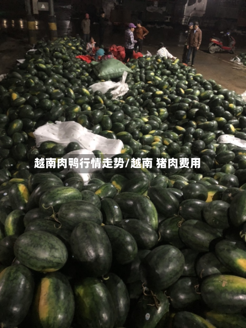 越南肉鸭行情走势/越南 猪肉费用-第2张图片