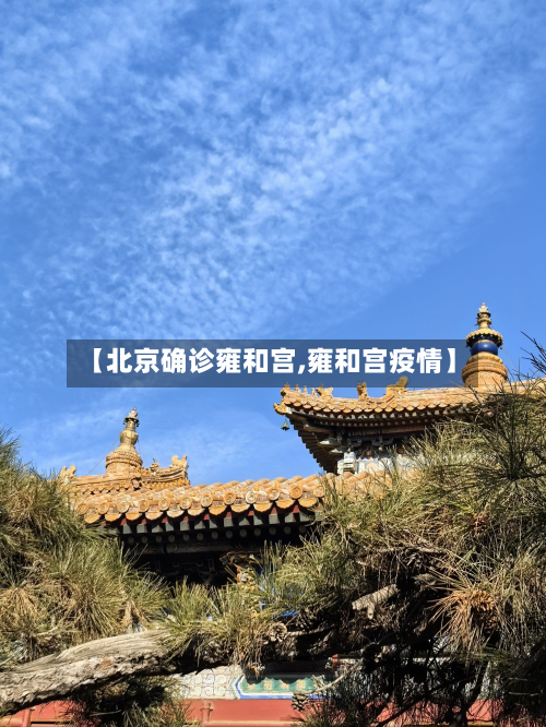 【北京确诊雍和宫,雍和宫疫情】-第3张图片