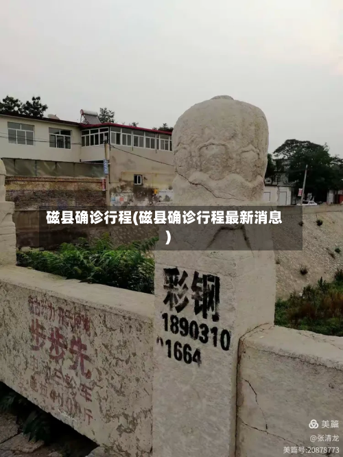 磁县确诊行程(磁县确诊行程最新消息)