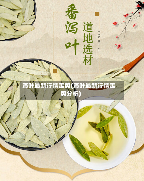 泻叶最新行情走势(泻叶最新行情走势分析)