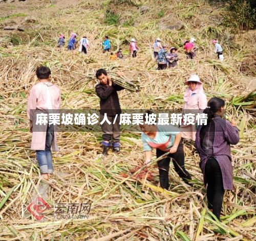 麻栗坡确诊人/麻栗坡最新疫情
