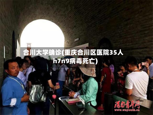 合川大学确诊(重庆合川区医院35人h7n9病毒死亡)-第2张图片