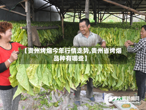【贵州烤烟今年行情走势,贵州省烤烟品种有哪些】-第2张图片