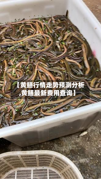 【黄鳝行情走势预测分析,黄鳝最新费用查询】