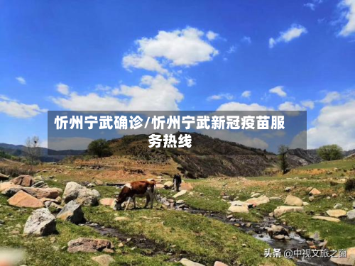 忻州宁武确诊/忻州宁武新冠疫苗服务热线-第3张图片
