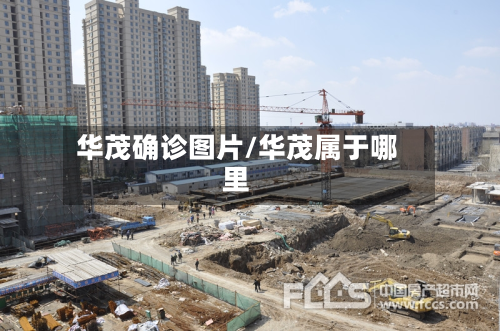 华茂确诊图片/华茂属于哪里