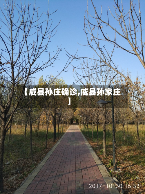 【威县孙庄确诊,威县孙家庄】-第3张图片