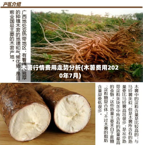 木薯行情费用走势分析(木薯费用2020年7月)-第2张图片