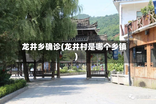 龙井乡确诊(龙井村是哪个乡镇)-第2张图片