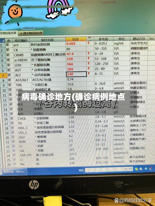 病毒确诊地方(确诊病例地点)
