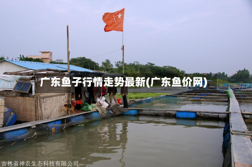 广东鱼子行情走势最新(广东鱼价网)