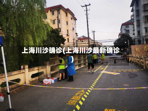 上海川沙确诊(上海川沙最新确诊)