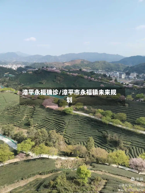 漳平永福确诊/漳平市永福镇未来规划-第2张图片
