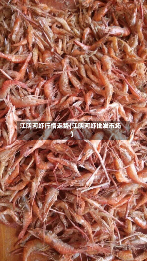江阴河虾行情走势(江阴河虾批发市场)