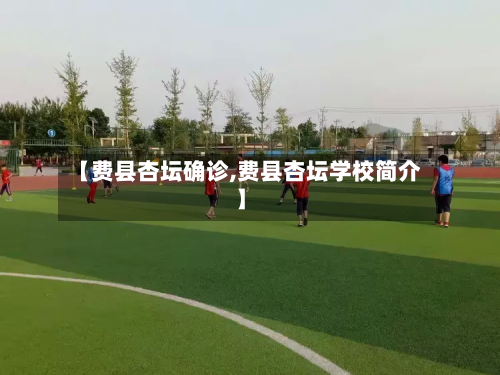 【费县杏坛确诊,费县杏坛学校简介】-第2张图片