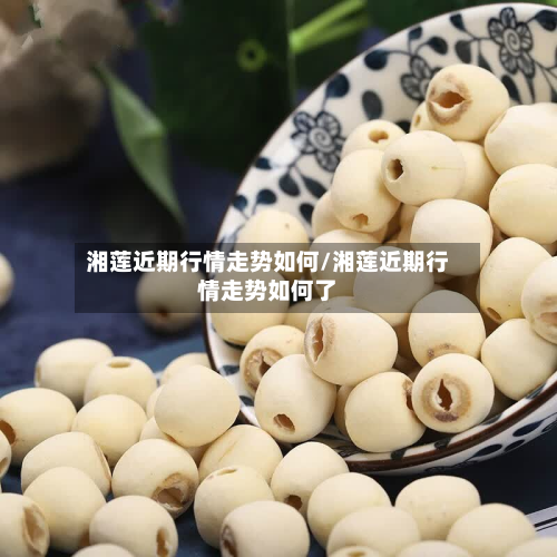 湘莲近期行情走势如何/湘莲近期行情走势如何了-第2张图片