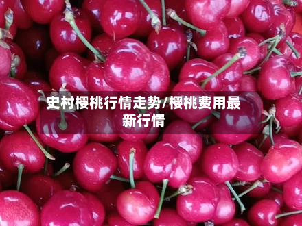 史村樱桃行情走势/樱桃费用最新行情