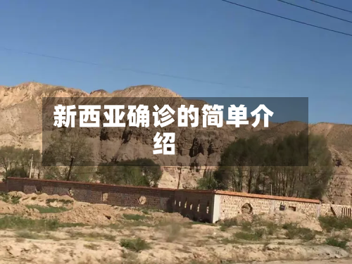 新西亚确诊的简单介绍-第2张图片