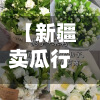 【新疆卖瓜行情走势,新疆瓜类大全】-第2张图片