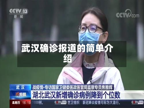 武汉确诊报道的简单介绍