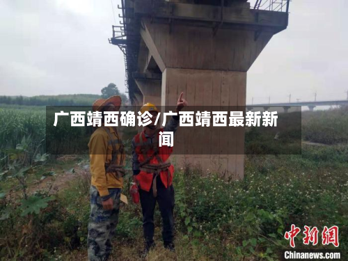 广西靖西确诊/广西靖西最新新闻-第2张图片