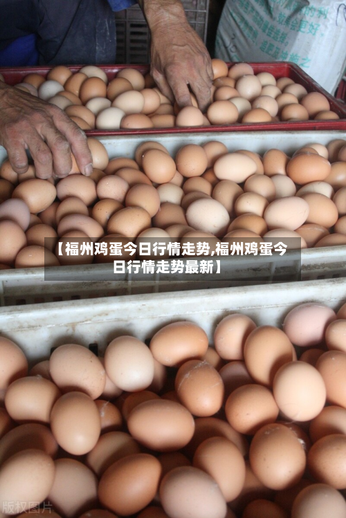 【福州鸡蛋今日行情走势,福州鸡蛋今日行情走势最新】-第3张图片