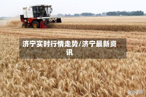 济宁实时行情走势/济宁最新资讯-第2张图片