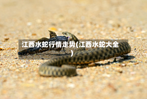 江西水蛇行情走势(江西水蛇大全)