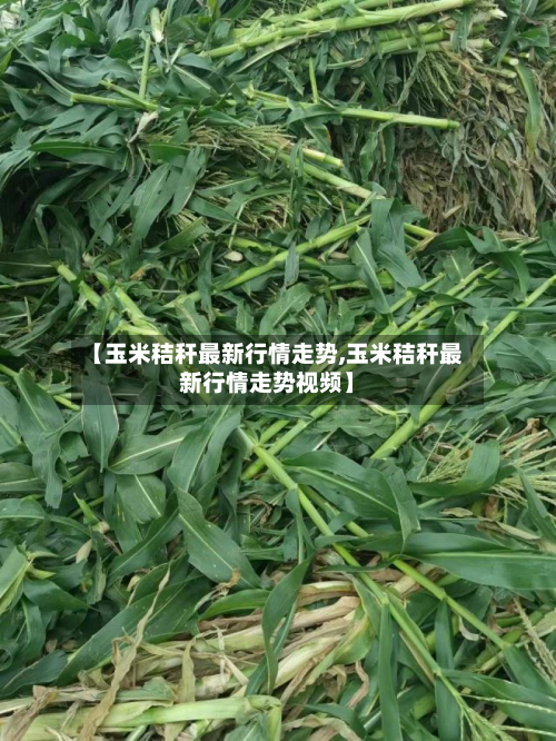 【玉米秸秆最新行情走势,玉米秸秆最新行情走势视频】