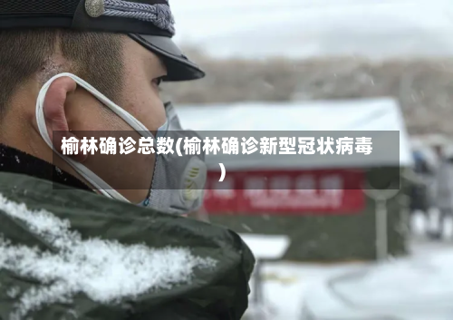 榆林确诊总数(榆林确诊新型冠状病毒)