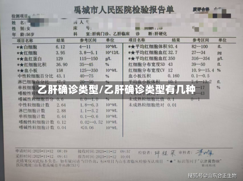 乙肝确诊类型/乙肝确诊类型有几种-第3张图片