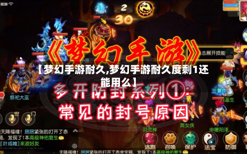【梦幻手游耐久,梦幻手游耐久度剩1还能用么】-第3张图片