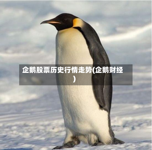 企鹅股票历史行情走势(企鹅财经)-第3张图片