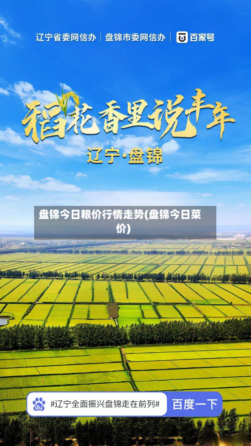 盘锦今日粮价行情走势(盘锦今日菜价)