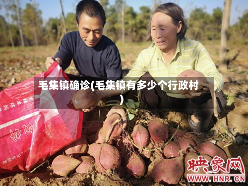 毛集镇确诊(毛集镇有多少个行政村)